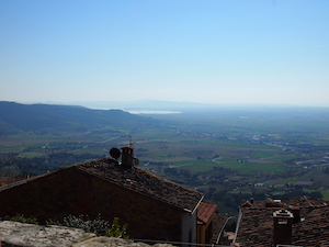 Cortona