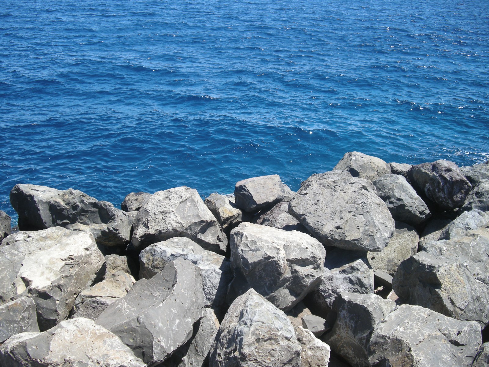 Isola del Giglio - foto 16
