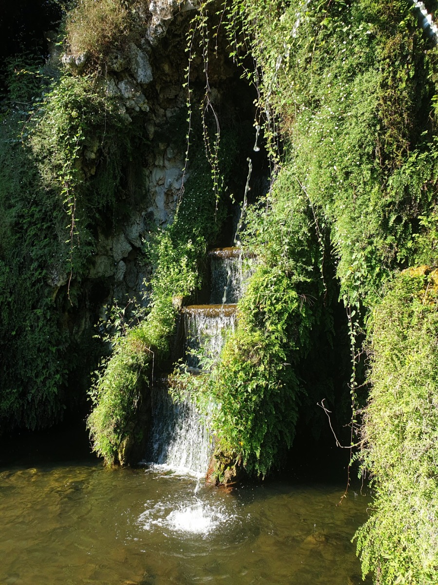 Villa Reale di Marlia - foto 54