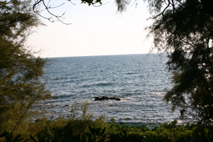Castiglioncello
