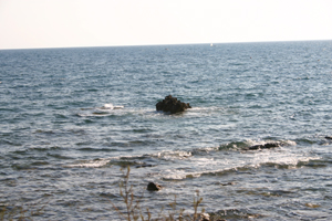 Castiglioncello