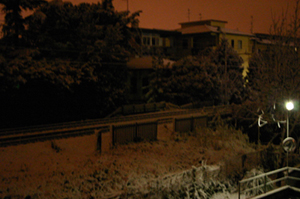 neve a prato